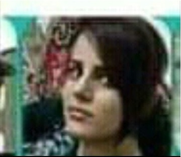 چهار پیشمرگ گروهک تروریستی دمکرات بازداشت شدند